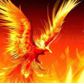 Phoenix Rising - Still I Rise